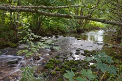 Die Meurthe auf dem Anwesen in Plainfaing Ferien in den Vogesen